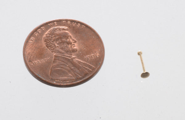 20g Nose Pin 14k Yellow Gold 2mm Flat Ball Nose Stud - Jewelryland.com